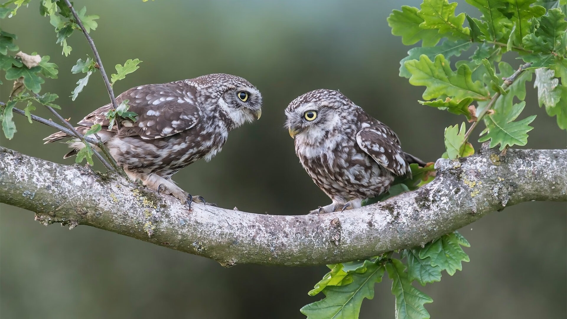 开云在线-_体育旅游新路线：探索世界体育名城_，著名体育城市