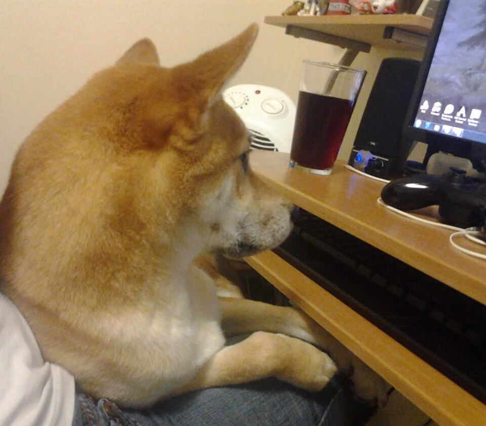 开云体育平台APP-《CS_GO奥运资格赛，顶级战队全面激战》，csgo a队冠军