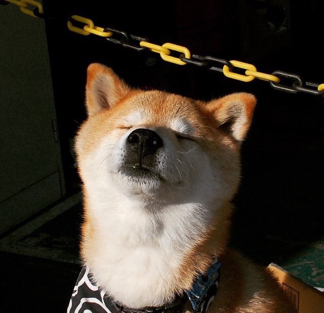 开云体育APP-太阳主教练:三后卫体系让我们更具进攻多样性,2021太阳主教练