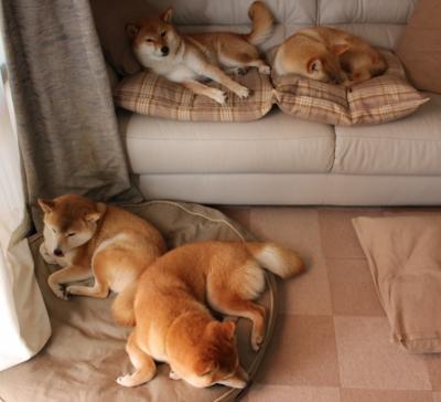 开云体育下载网页版-马赛连续赢球,冲击联赛前列,马赛12连败