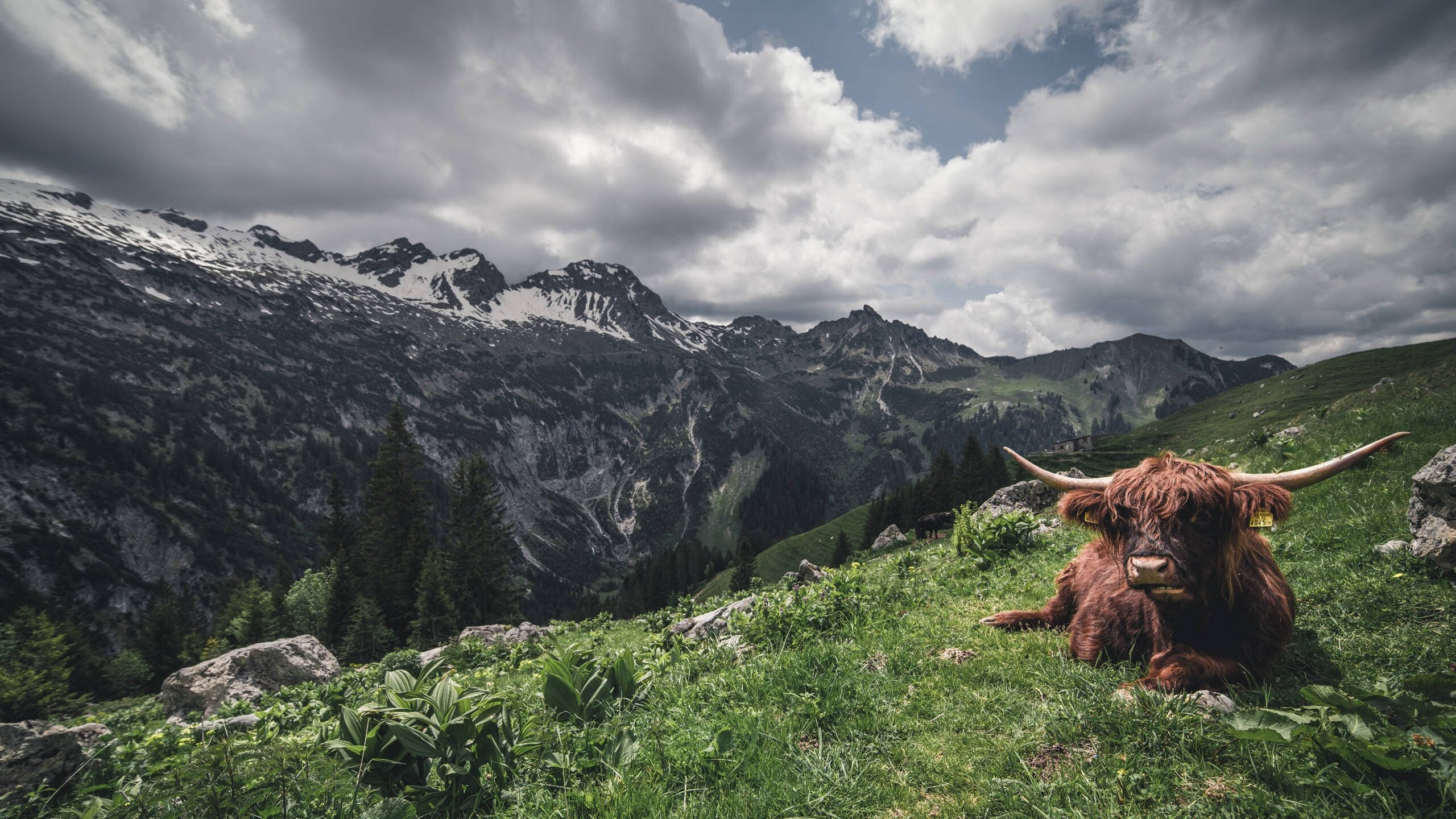 开云体育首页-RNG引入新一代训练负荷监测设备，训练负荷参数