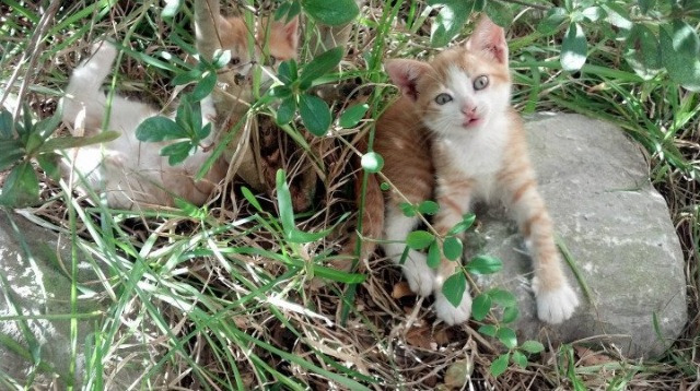 开云体育下载网页版-梅西回归阿根廷国家队备战世界杯,梅西回归阿根廷国家队备战世界杯了吗