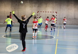 开云在线-中国篮球运动员伤病康复管理体系,篮球运动员常见损伤种类