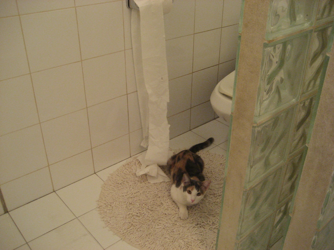 开云体育首页-中国篮球运动员心理素质提升策略,篮球运动员的心理选材