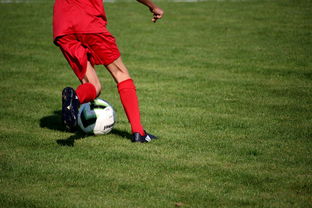 -中国篮球青训教练员能力提升路径及培训体系,全国篮球教练员岗位培训