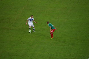 kaiyun xiazai-中国足球对抗频次与伤病风险相关性，足球 对抗