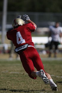 kaiyun sports-中超球队赛前战术布置与实战还原度评估，中超比赛分析