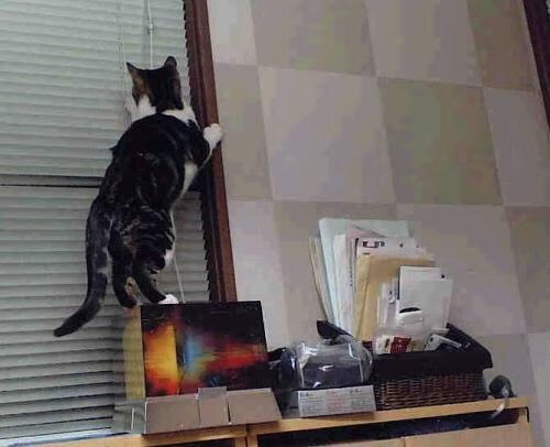 开云体育保障-青少年运动心理干预方案设计与实证分析,青少年心理问题干预