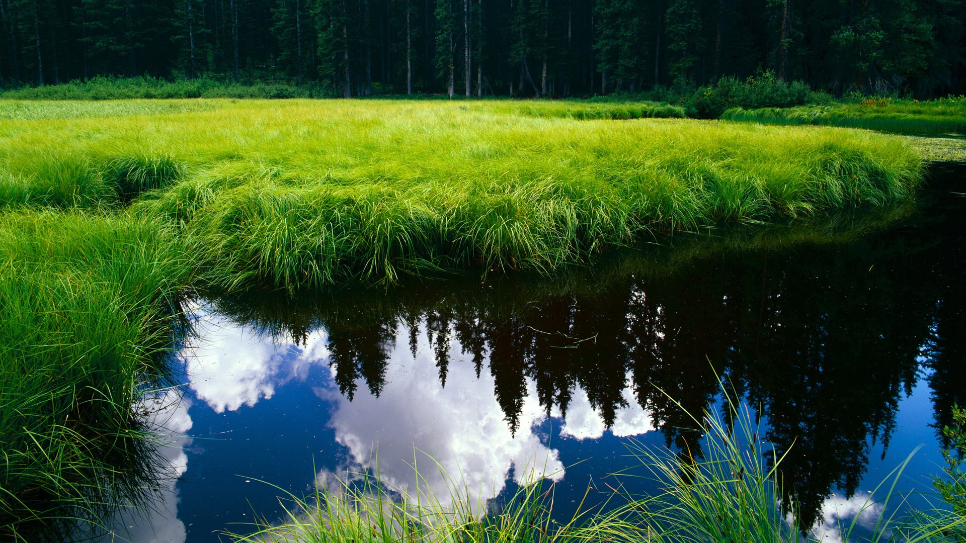 开云体育客户端-“2025世界运动会:高新体育中心羽毛球赛激烈异常”